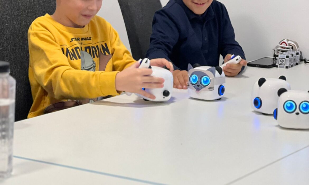 joacă-sau-învățare-2