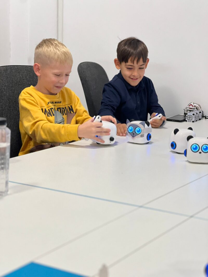 joacă-sau-învățare-2