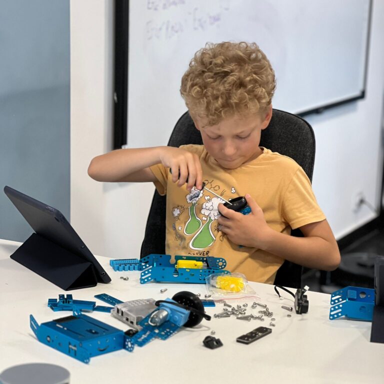 joacă-sau-&icirc;nvățare-3